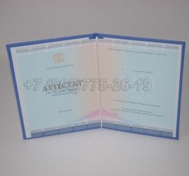 Аттестат За 11 Класс 2022г СпецБланк в Махачкале