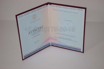Аттестат За 11 Класс 2020г Золото СпецБланк в Махачкале