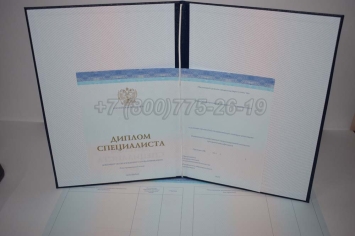 Диплом о Высшем Образовании 2024г СпецБланк в Махачкале