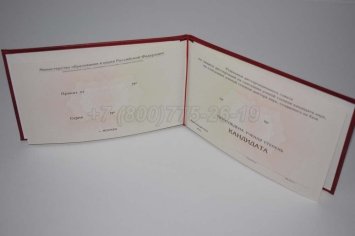 Диплом Кандидата Наук 2022г в Махачкале