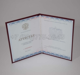 Аттестат За 11 Класс 2024г Золото ГОЗНАК в Махачкале