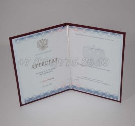 Аттестат За 11 Класс 2022г Золото ГОЗНАК в Махачкале