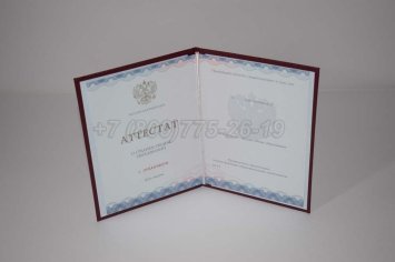 Аттестат За 11 Класс 2022г Золото ГОЗНАК в Махачкале