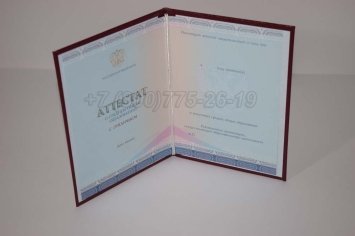 Аттестат За 11 Класс 2023г Золото СпецБланк в Махачкале